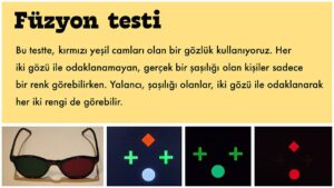 Fuzyon Testi