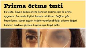 Prizma Ortme Testi